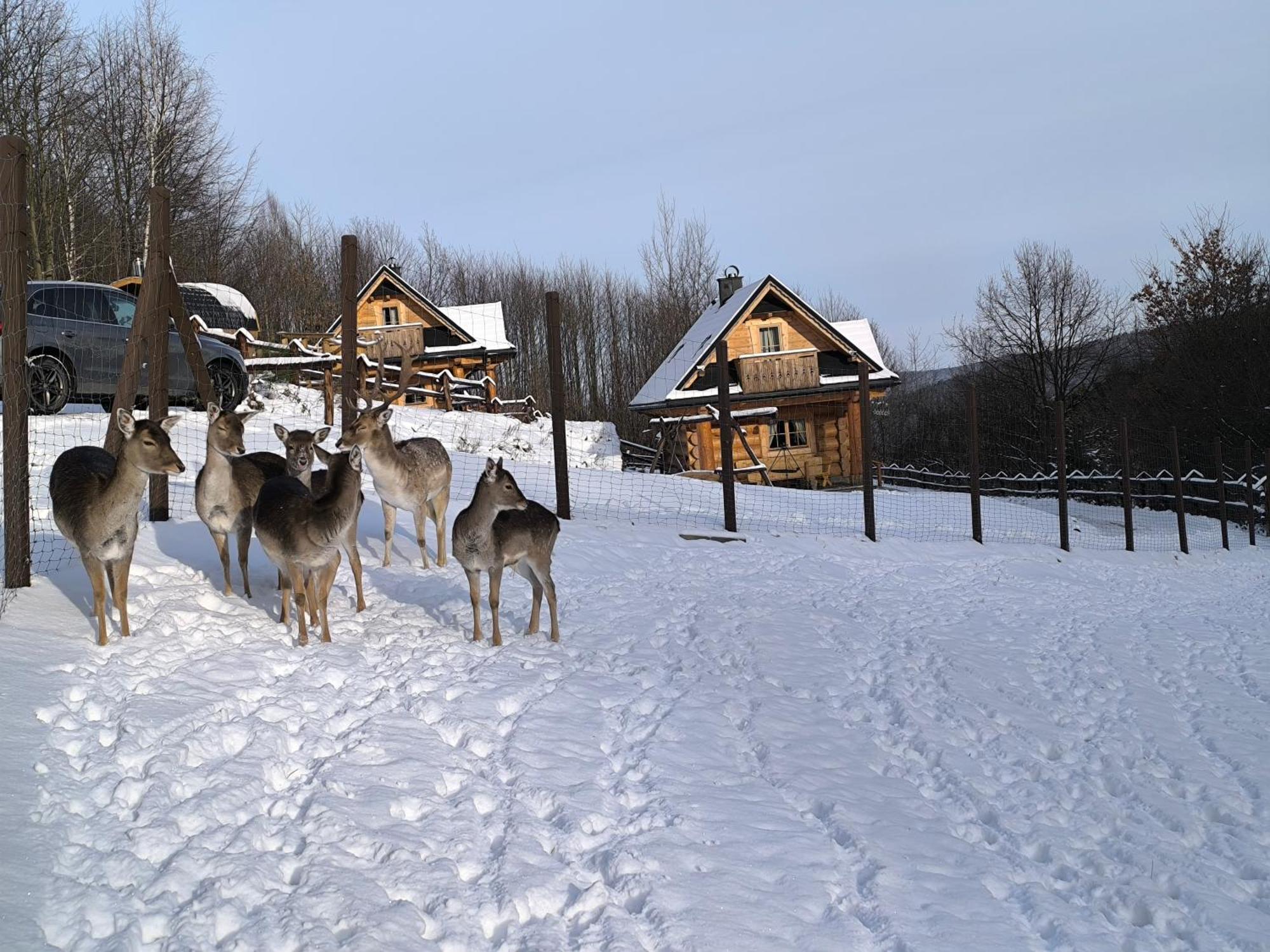 Osada Mala Kozowka Villa Myslenice Luaran gambar